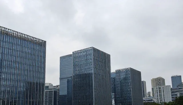 技术支持中方案设计的实施限制与应对建议